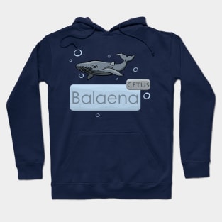 Whale Cetus Balaena Hoodie